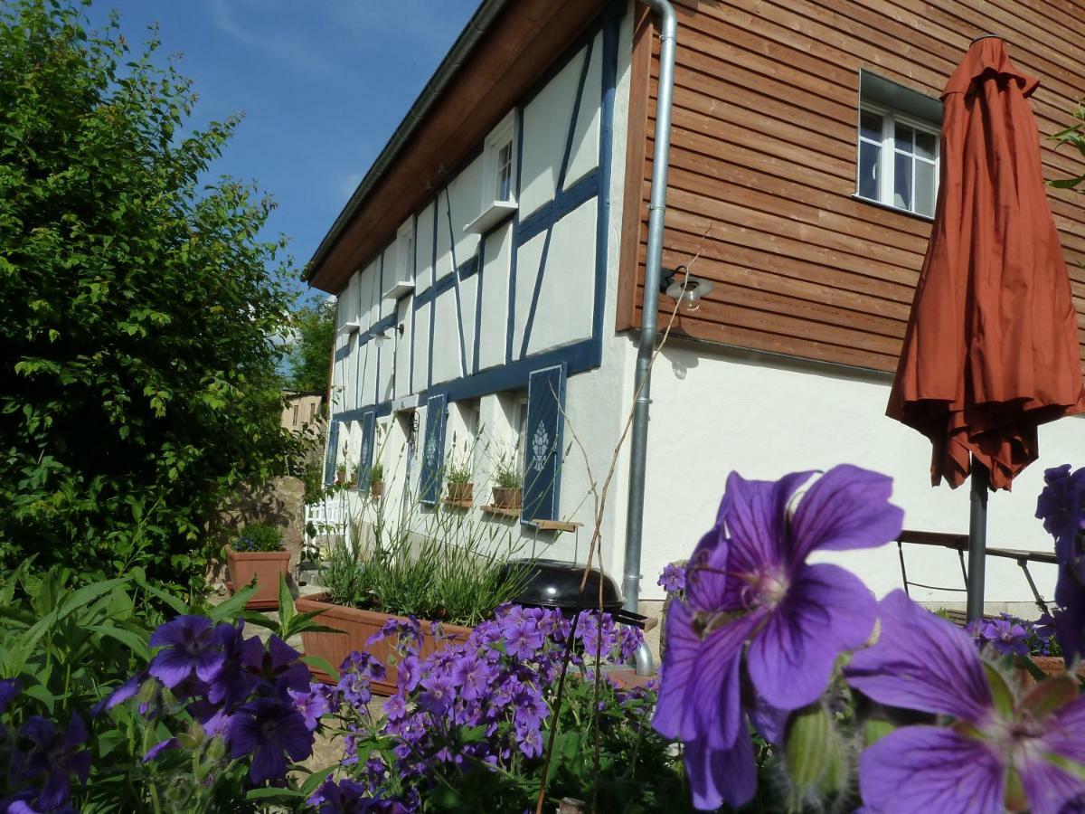 Villa Goldbachhaeuschen Olbersdorf Exterior foto